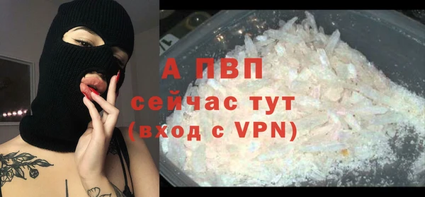 прущий лед Богданович