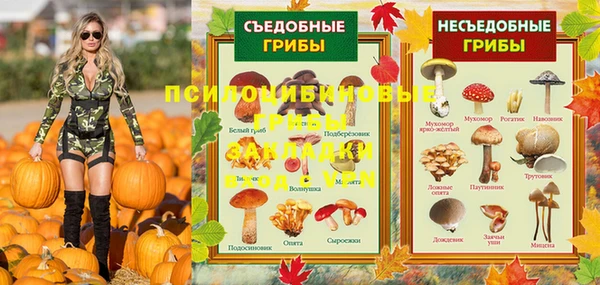 первитин Бородино
