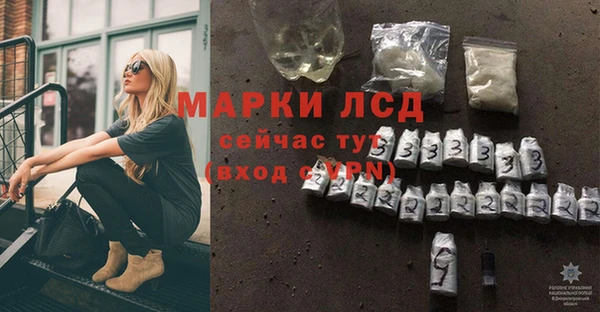 прущий лед Богданович