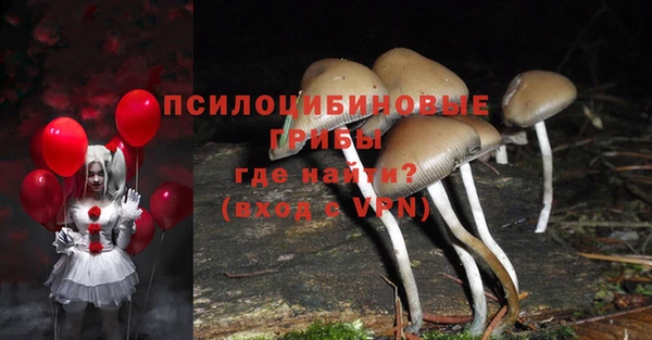 первитин Бородино