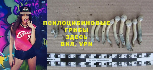 дмт Богородицк