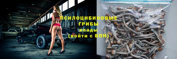 прущая мука Богородск
