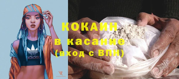 прущий лед Богданович