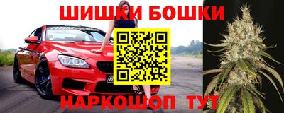 прущие грибы Аргун