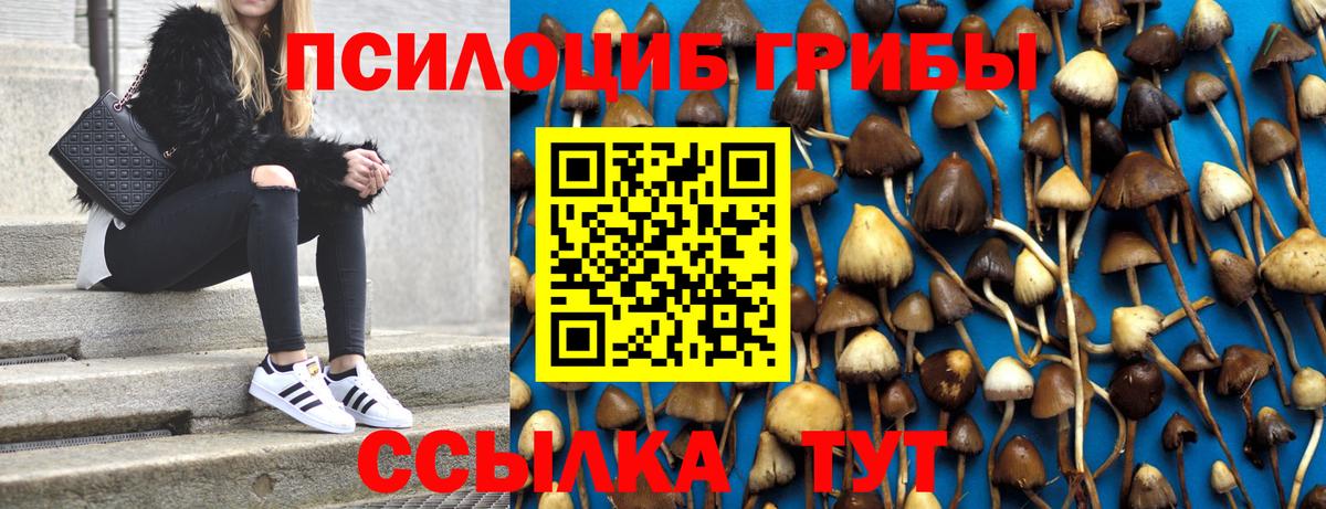 Псилоцибиновые грибы Psilocybe Верхний Уфалей