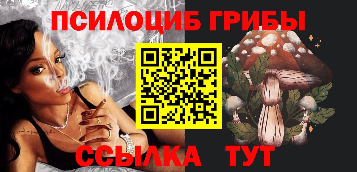 Псилоцибиновые грибы мицелий  купить наркотики цена  Верхний Уфалей  Вход с VPN 